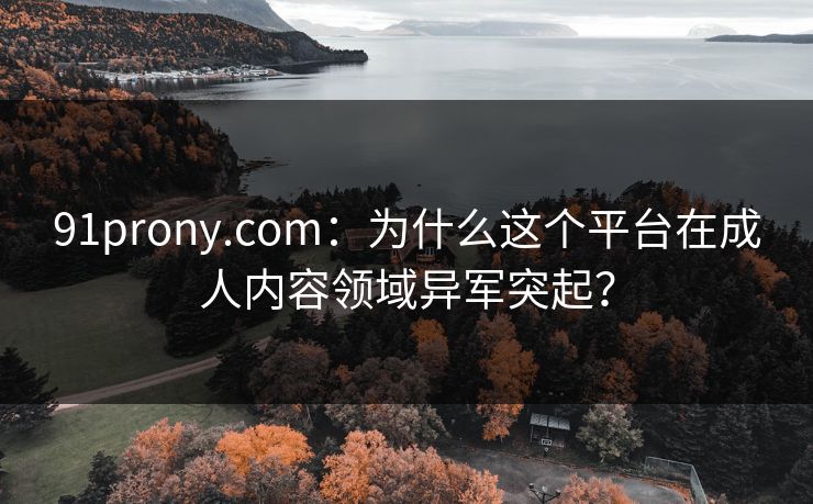 91prony.com：为什么这个平台在成人内容领域异军突起？