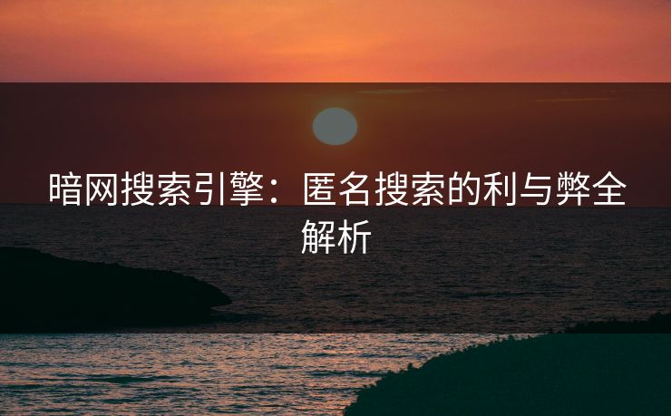 暗网搜索引擎：匿名搜索的利与弊全解析  第1张