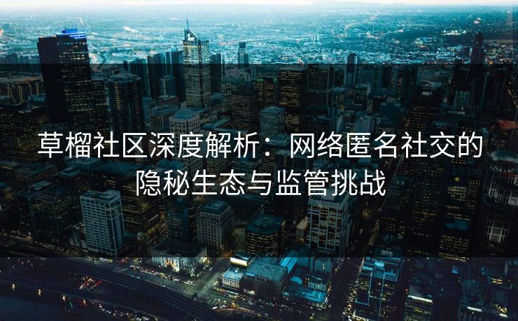 草榴社区深度解析：网络匿名社交的隐秘生态与监管挑战